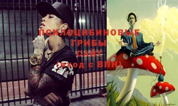 дурь Балахна